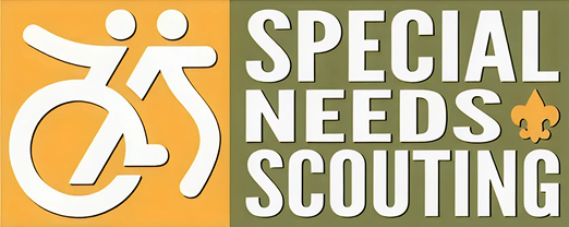 Special Needs Scouting graphic featuring accessibility symbols and the Scouting fleur-de-lis.